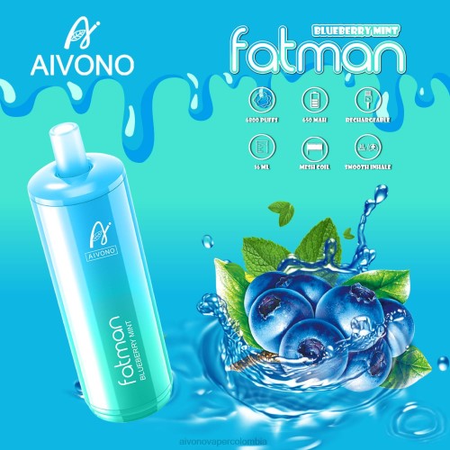 Aivono FATMAN 6800 menta de arándanos 48P822 - Aivono Colombia